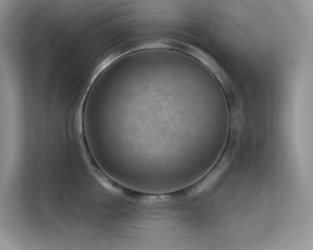 X0000112170858200908071157