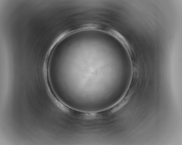 X0000112170859200908071157