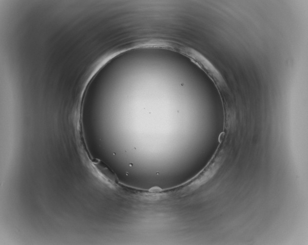 X0000112170860200908071157