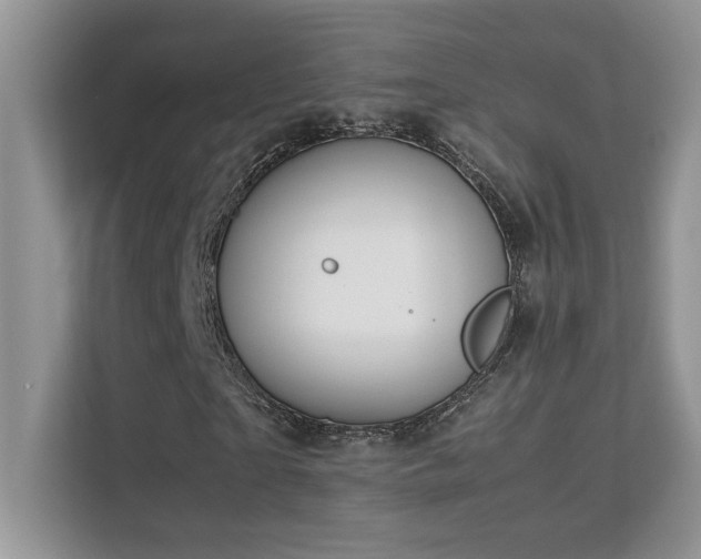 X0000112170865200908071156