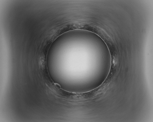 X0000112170867200908071156