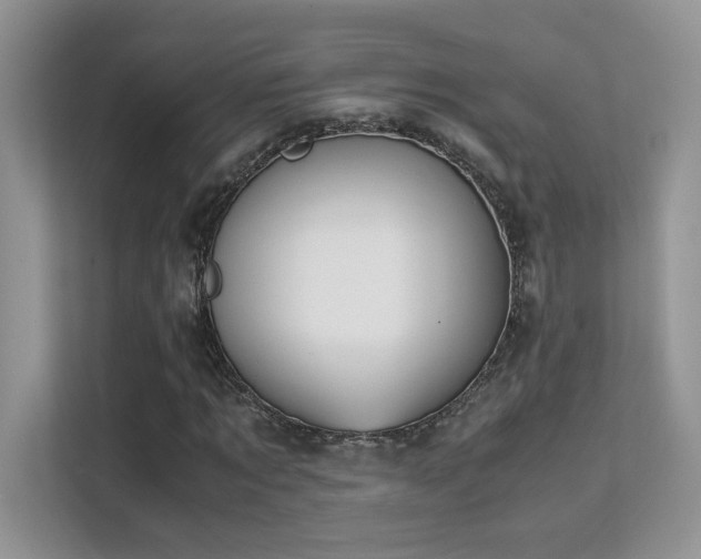 X0000112170869200908071156