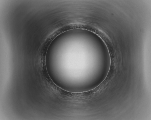 X0000112170870200908071156