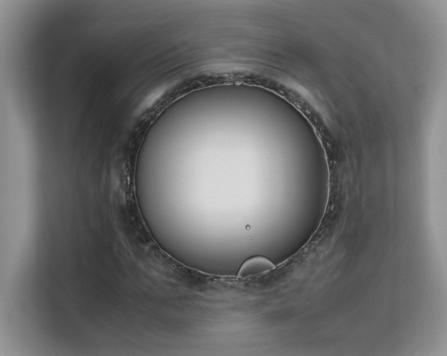 X0000112170871200908071156