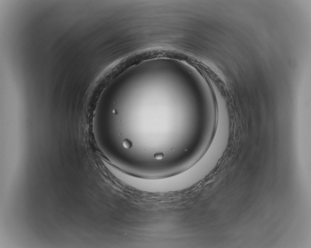 X0000112170872200908071156