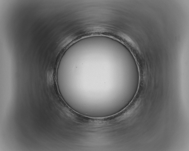 X0000112170873200908071156