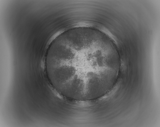 X0000112170874200908071156