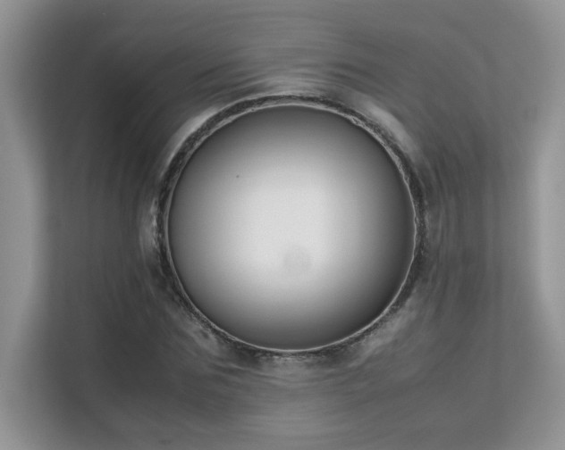 X0000112170875200908071156