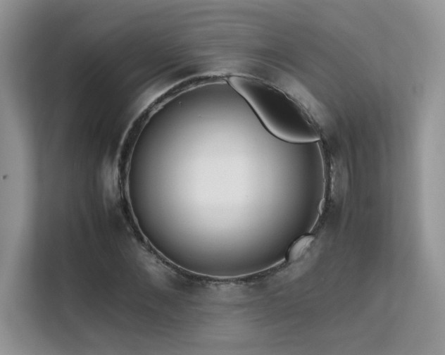 X0000112170876200908071156