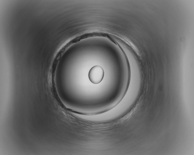 X0000112170877200908071156