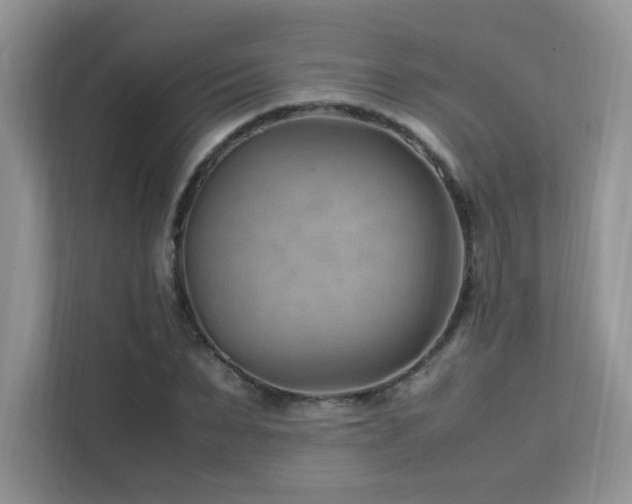 X0000112170879200908071156