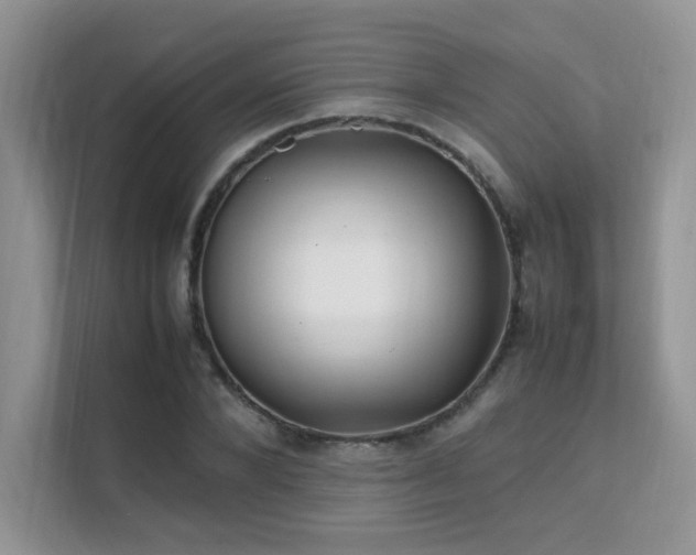 X0000112170880200908071156