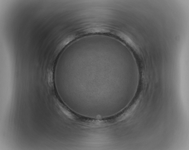 X0000112170881200908071156