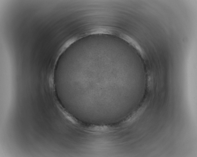 X0000112170882200908071156