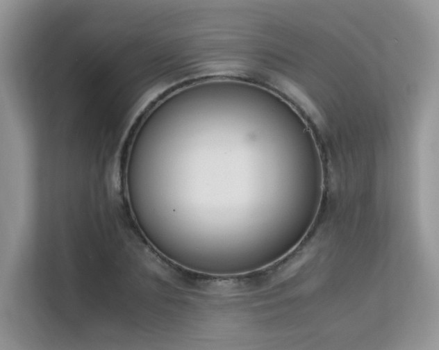 X0000112170883200908071156