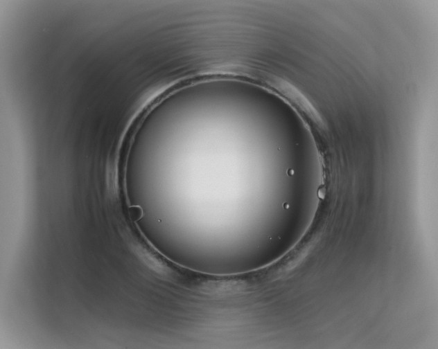 X0000112170884200908071156