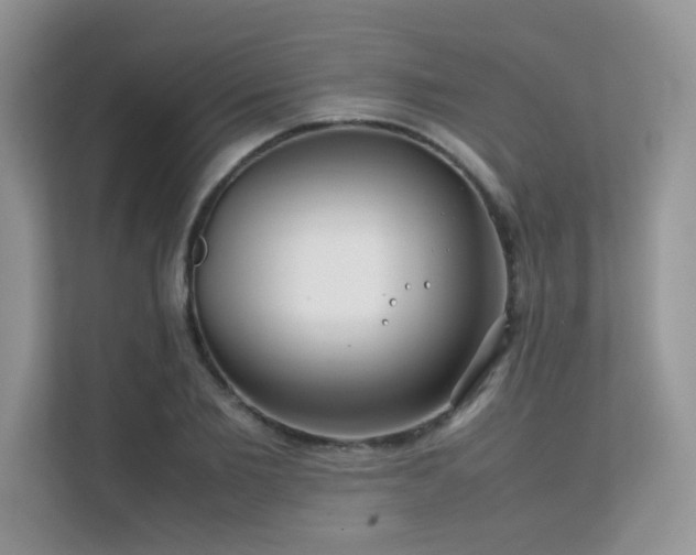 X0000112170885200908071156