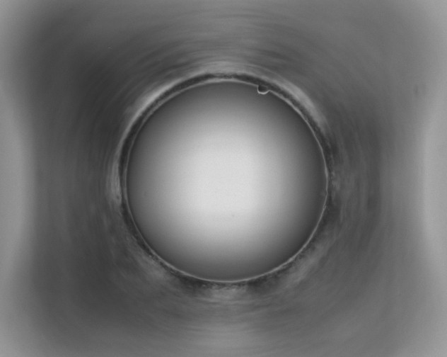 X0000112170887200908071156