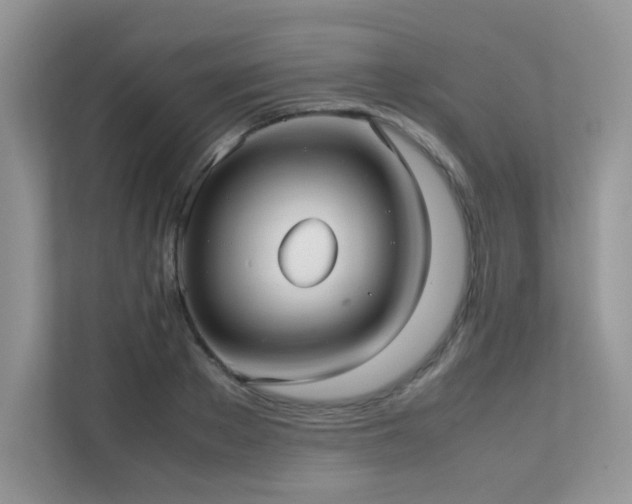 X0000112170889200908071156