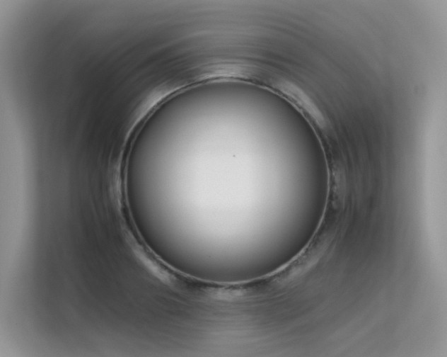 X0000112170890200908071156