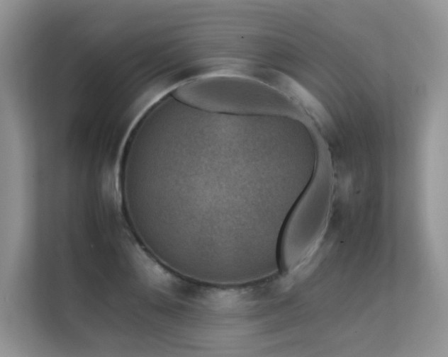 X0000112170892200908071156