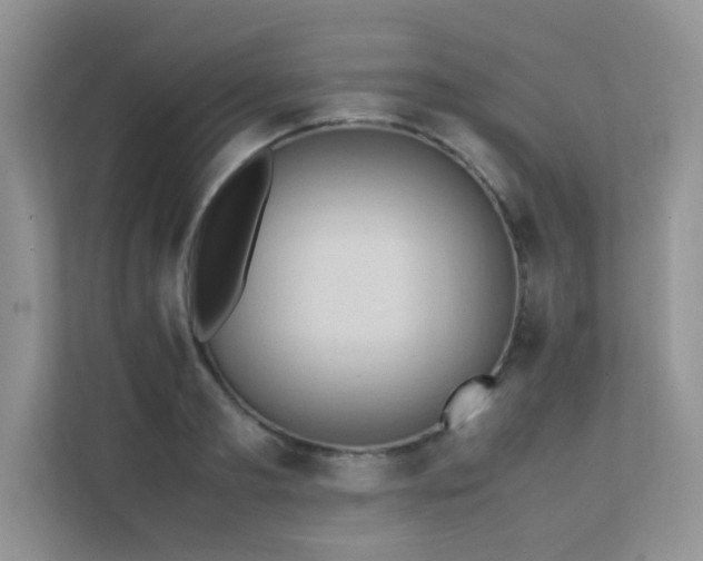 X0000112170893200908071156