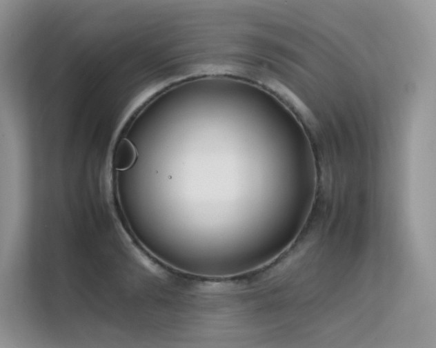 X0000112170894200908071156