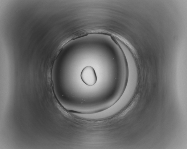 X0000112170897200908071156