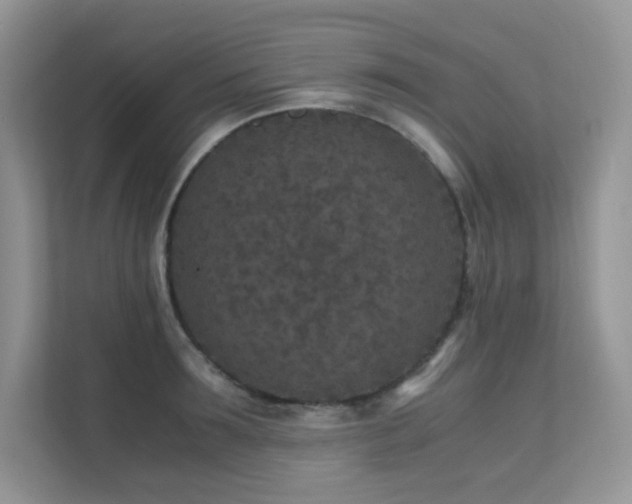 X0000112170899200908071156