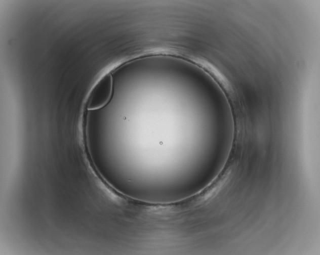 X0000112170902200908071156