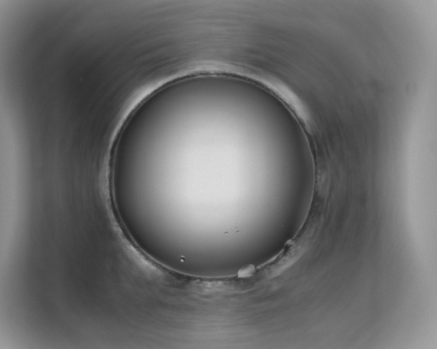 X0000112170903200908071156