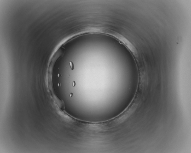 X0000112170904200908071156