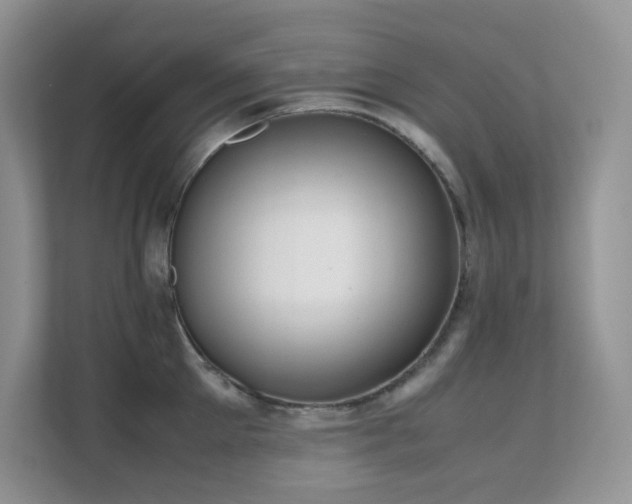 X0000112170905200908071156