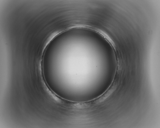 X0000112170906200908071156