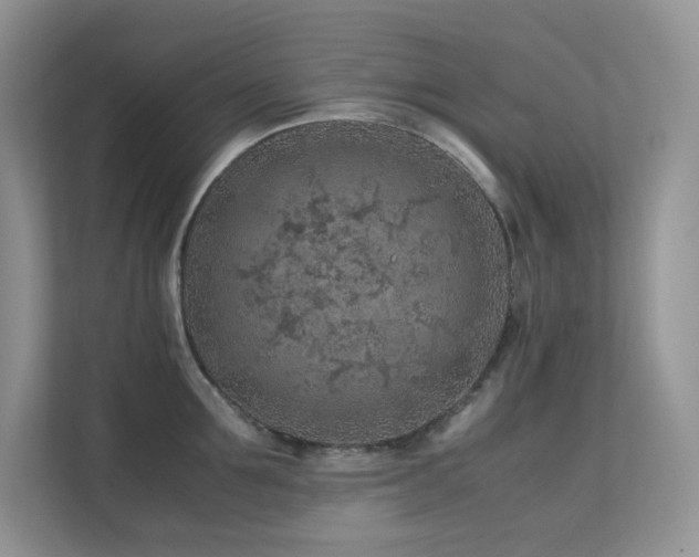 X0000112170907200908071156