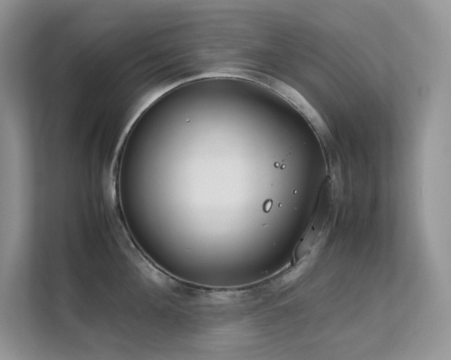 X0000112170908200908071156