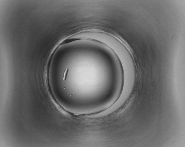 X0000112170909200908071156