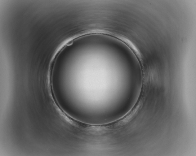 X0000112170910200908071156