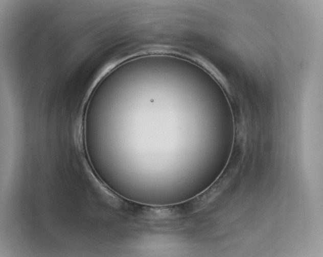 X0000112170911200908071156