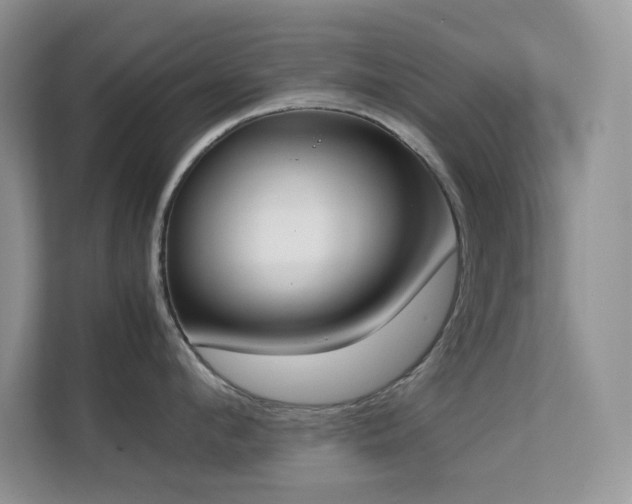 X0000112170912200908071156