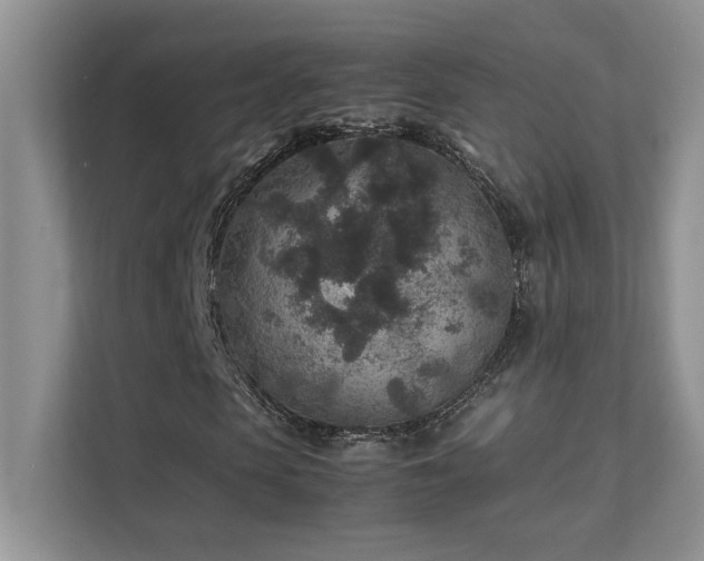 X0000112170913200908071155