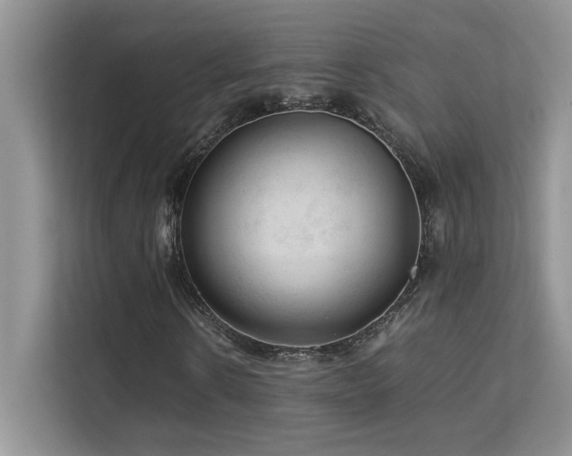 X0000112170914200908071155