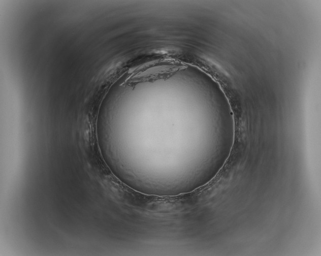 X0000112170917200908071155