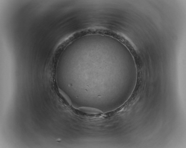 X0000112170919200908071155