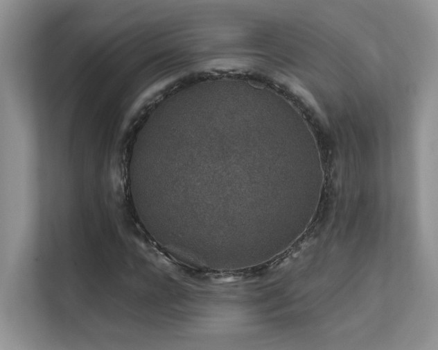 X0000112170920200908071155