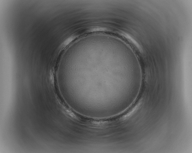 X0000112170921200908071155