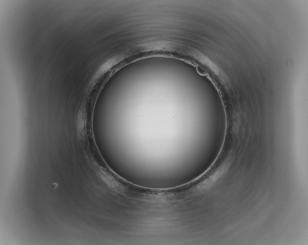 X0000112170922200908071155