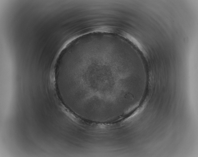 X0000112170923200908071155