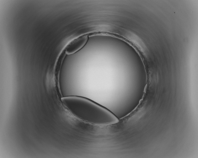 X0000112170924200908071155