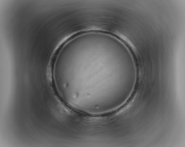 X0000112170925200908071155